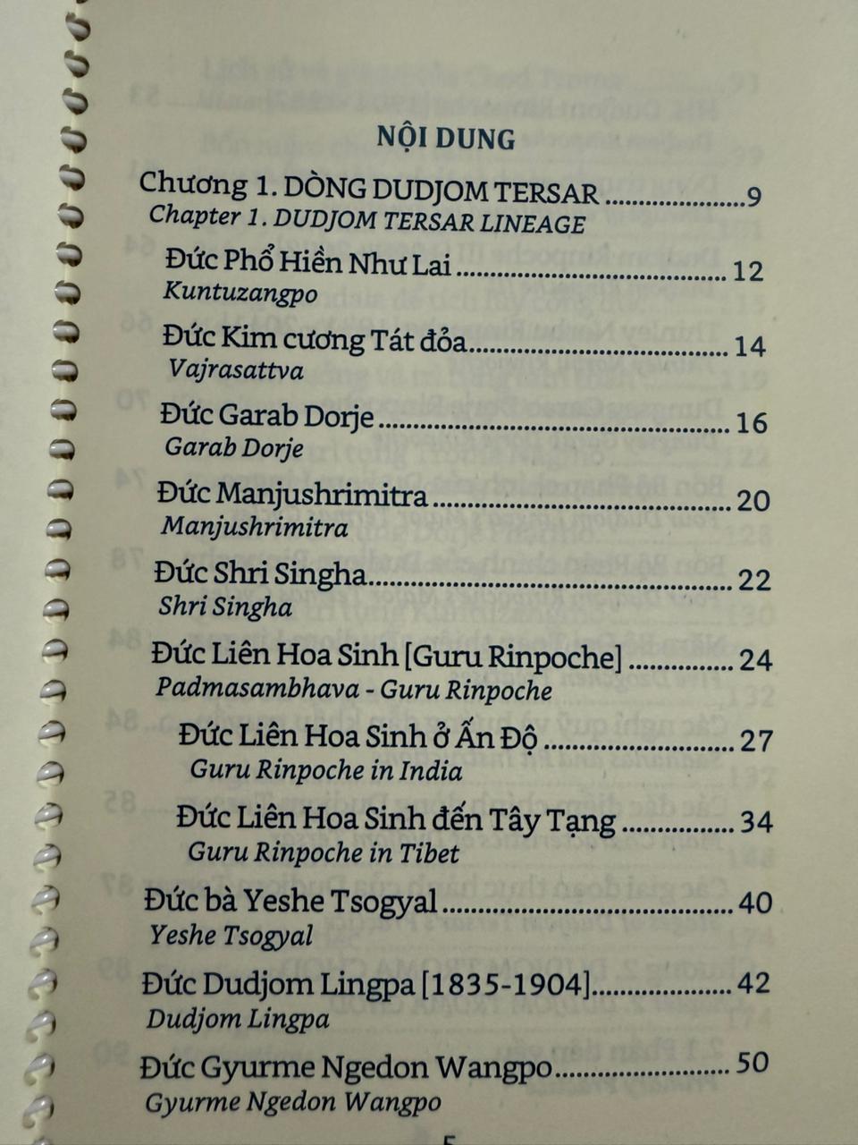 Giới thiệu & Luận giải về Ngondro và Bốn Bữa tiệc - Dudjom Troma Chod 4 Dudjom Troma Chod 3