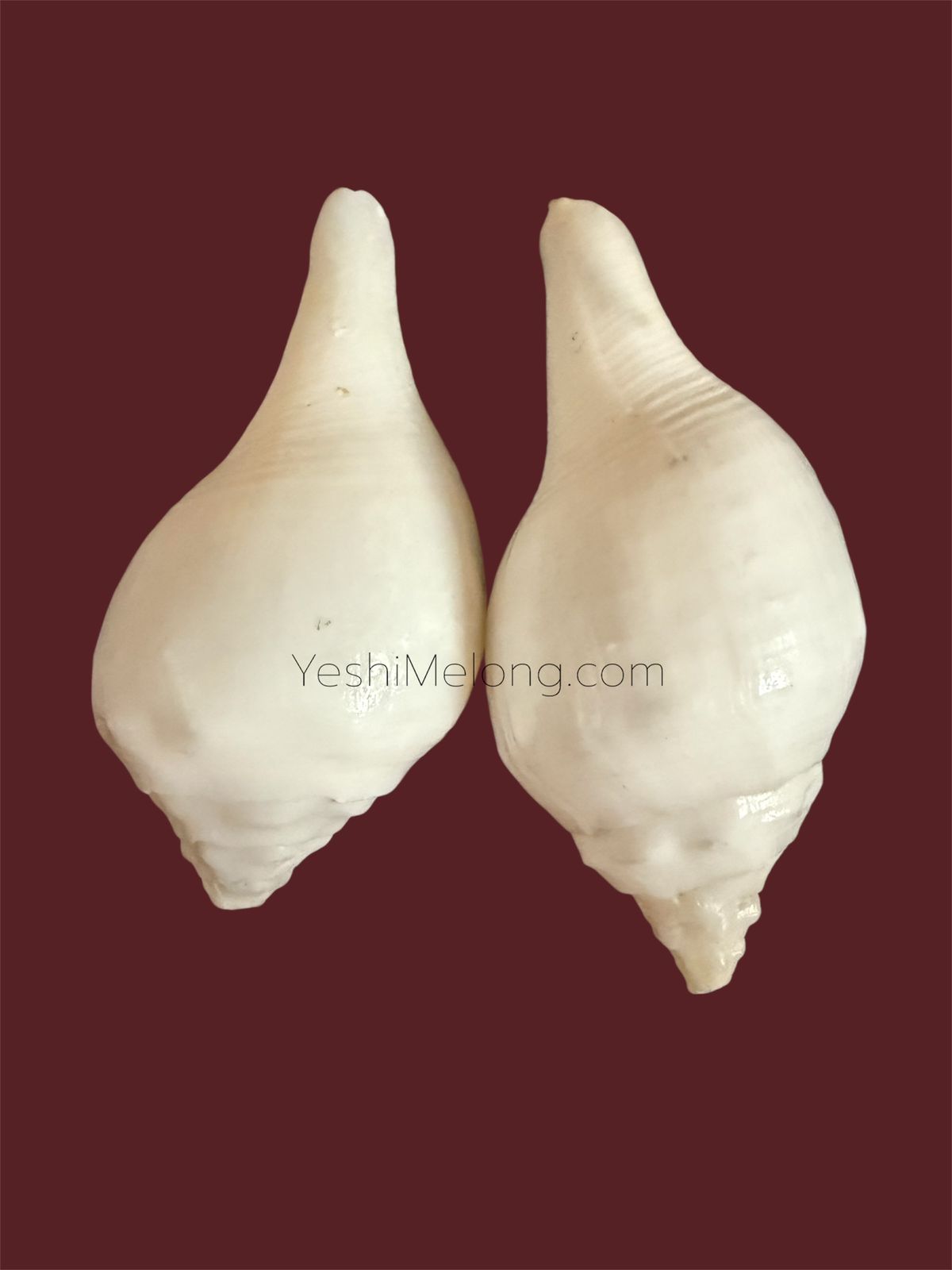 Yeshimelong