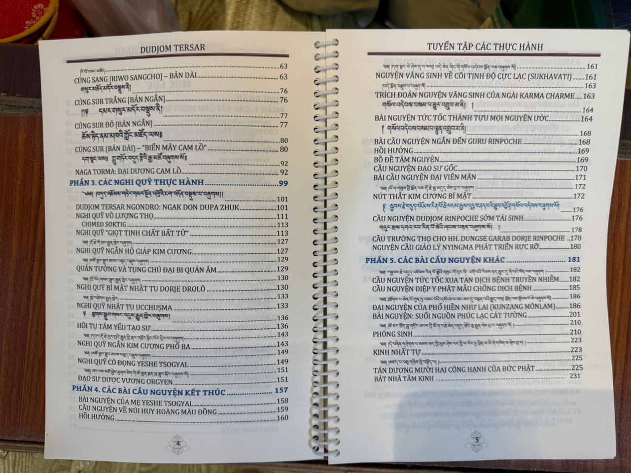 Collection of Dudjom Tersar practices 4 Tuyen tap 4