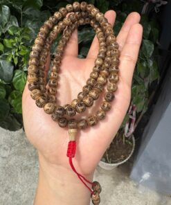 mala tram huong 1
