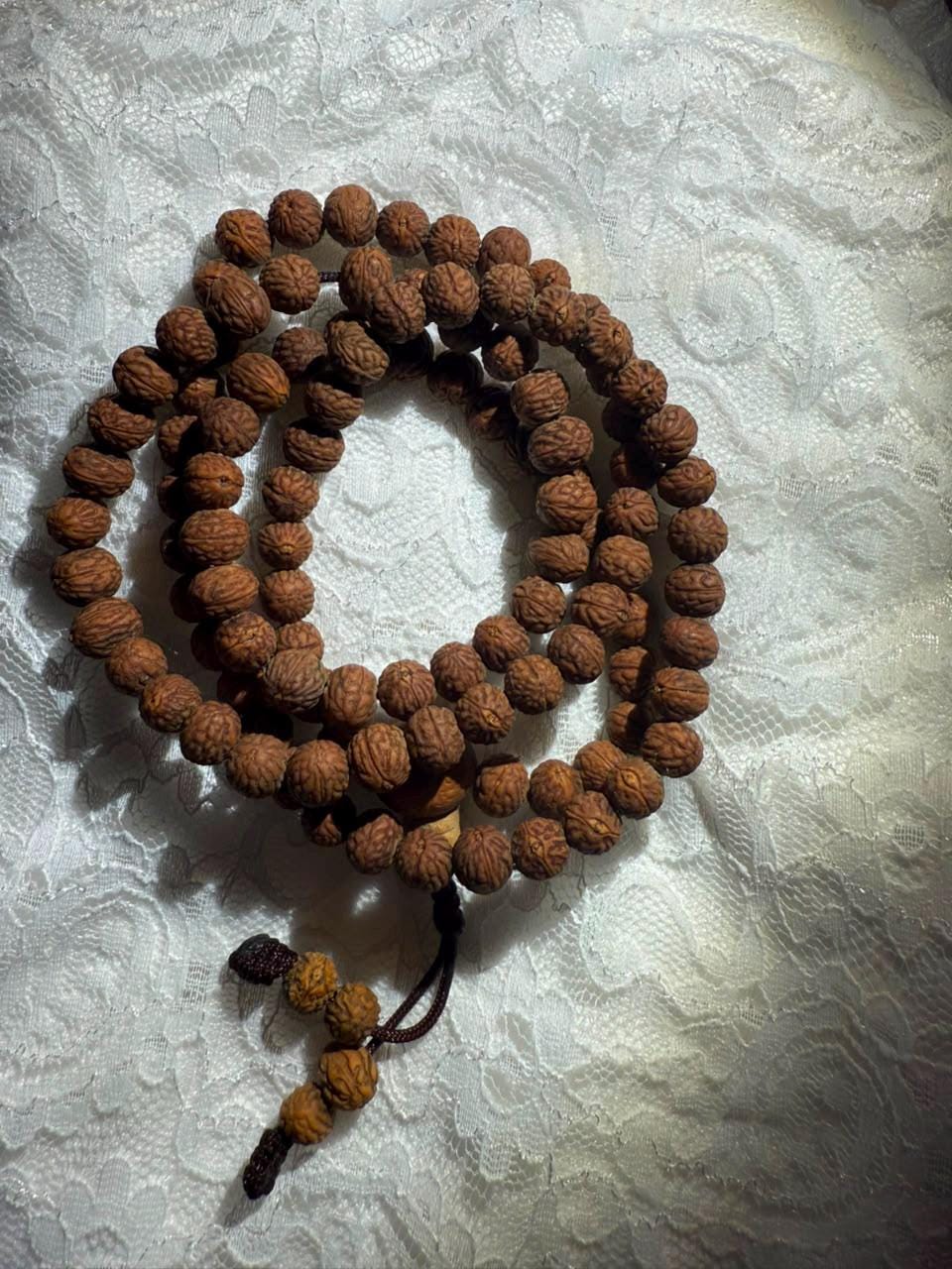 Blessed Raktu Seed Mala – 108 Beads, 8 mm