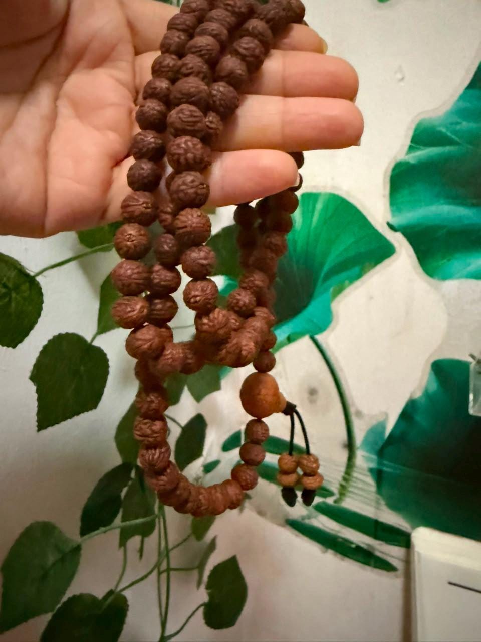 Blessed Raktu Seed Mala – 108 Beads, 8 mm 4